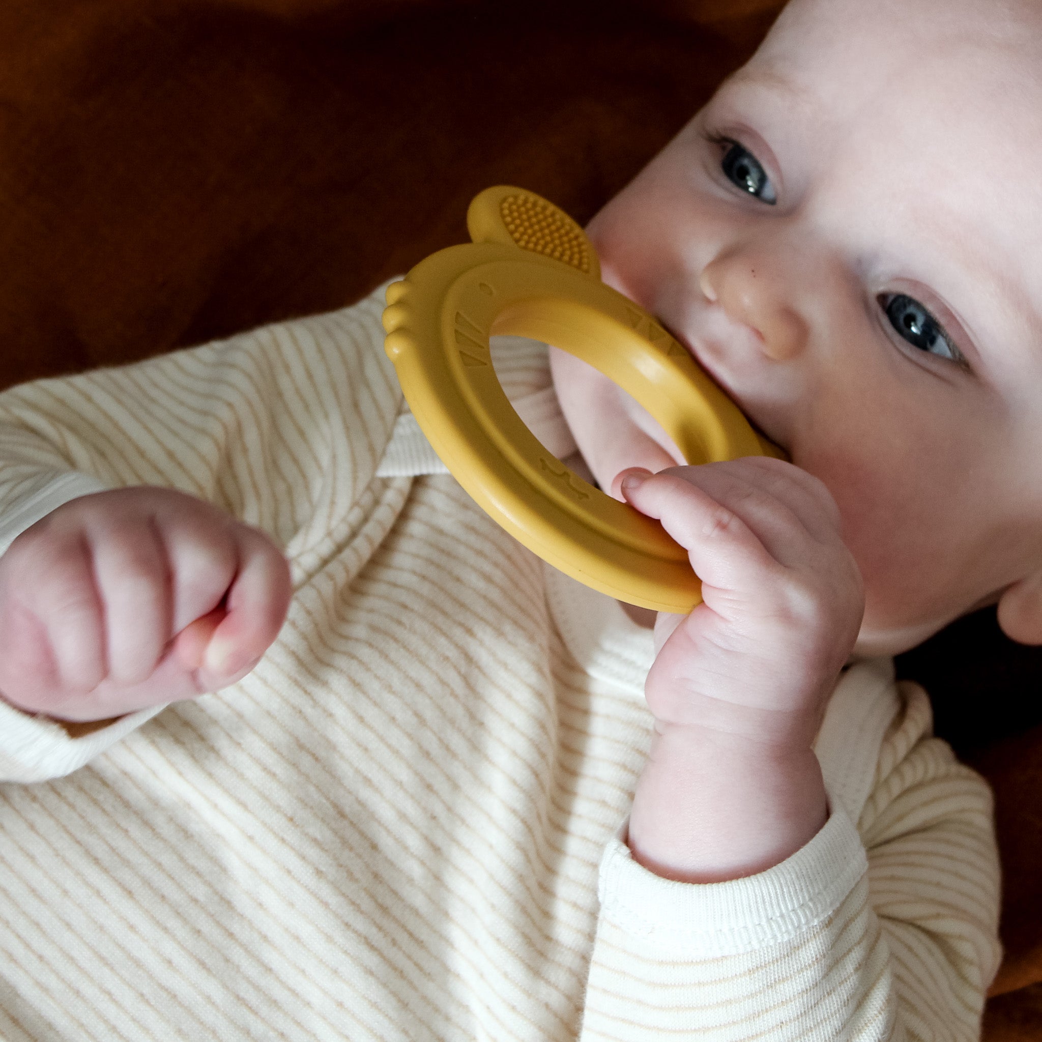 Bear Teether