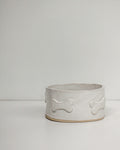 Pottery workshop in Palmerston North creating a handmade pet bowl at Mabel Vickers