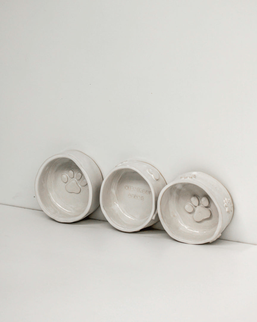 Pottery workshop in Palmerston North: small finished pet bowl for cat or small dog Mabel Vickers